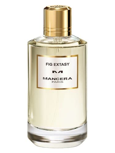 MANCERA FIG EXTASY