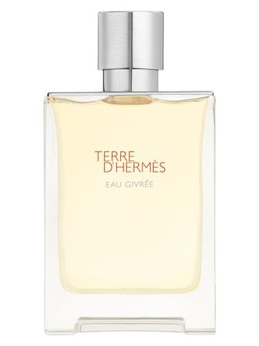 HERMES TERRE D HERMES EAU GIVREE