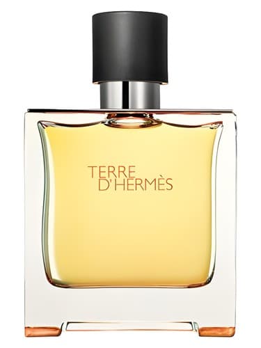 HERMES TERRE D HERMES PARFUM