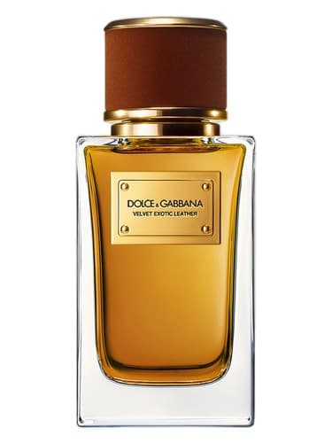 DOLCE & GABBANA VELVET EXOTIC LEATHER