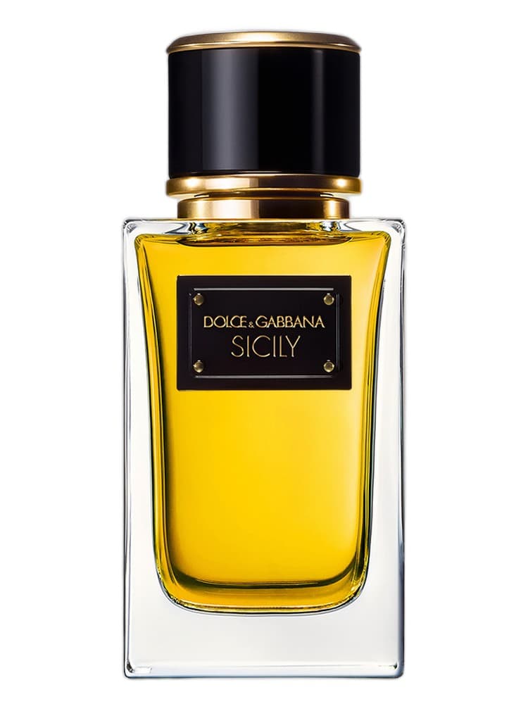 DOLCE & GABBANA VELVET SICILY